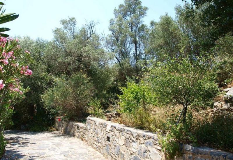 Aposperitis Villas Theodhóra Екстериор снимка